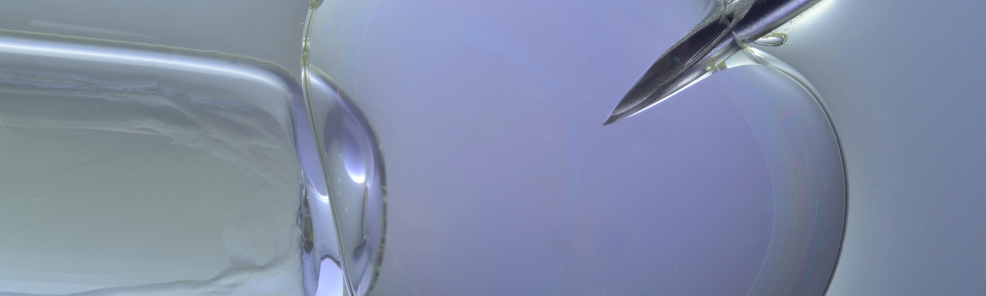 الحقن المجهري والتلقيح الصناعي